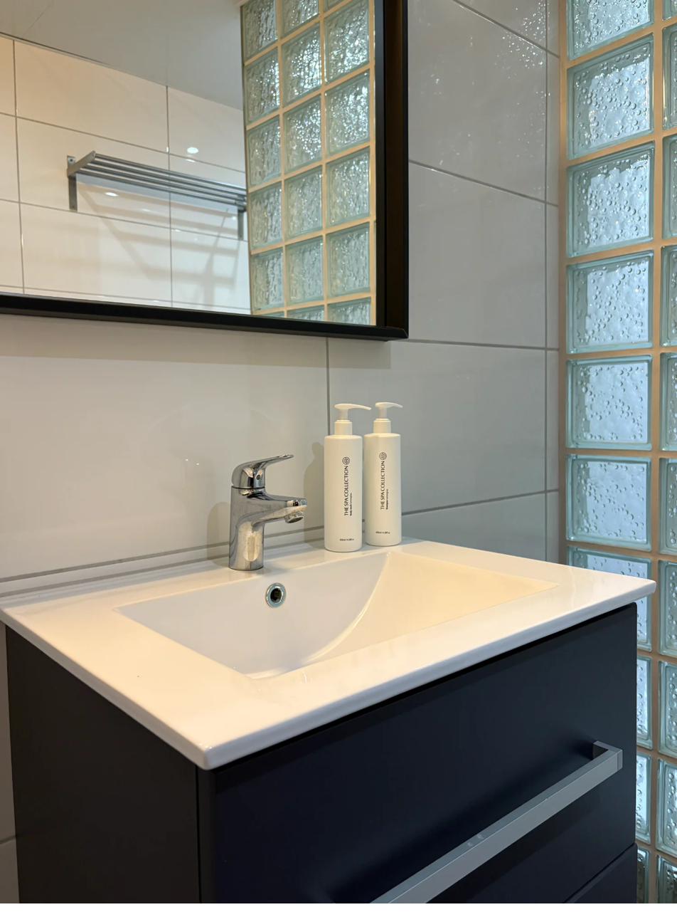 Moderne badkamer vakantiehuis BLESS Valkenburg gerenoveerd 2025